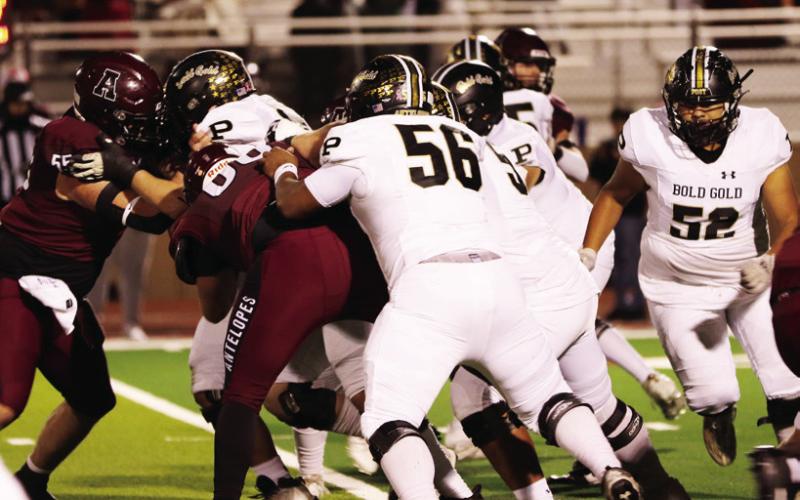 SPOTLIGHT ON BOLD GOLD DISTRICT CHAMPS