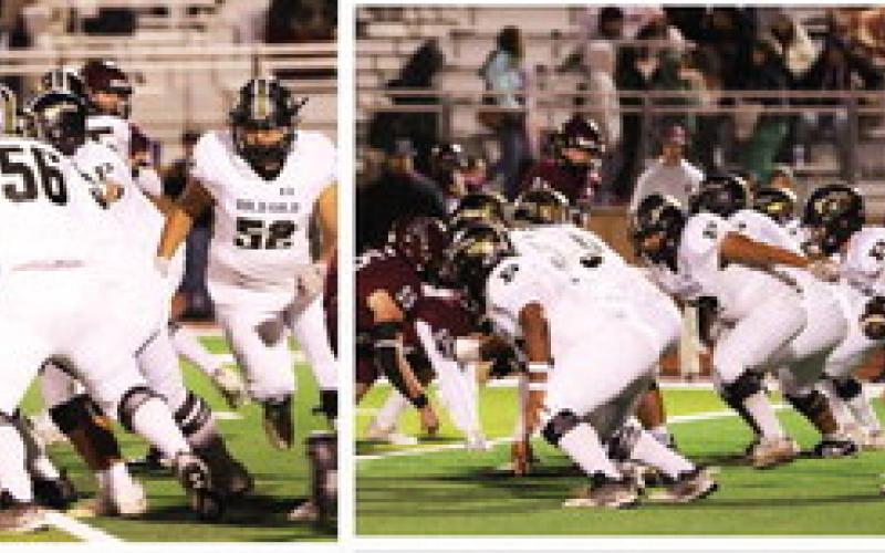SPOTLIGHT ON BOLD GOLD DISTRICT CHAMPS