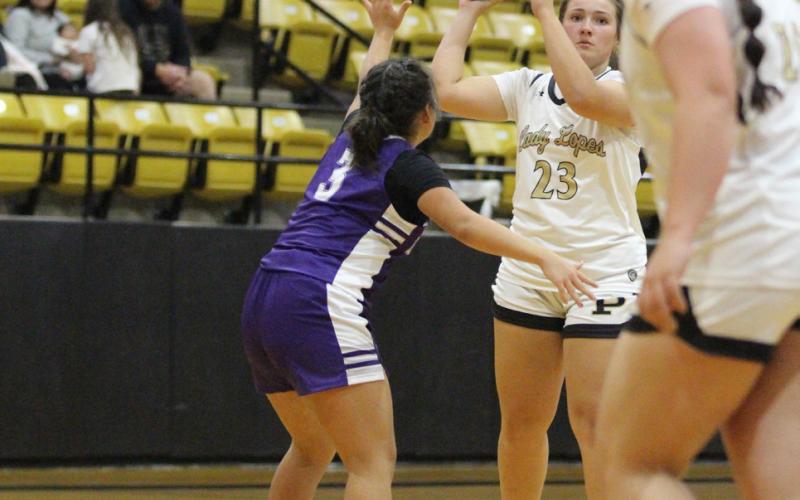 Bold Gold and Lady Lopes Basketball to compete at Wellman Tournament