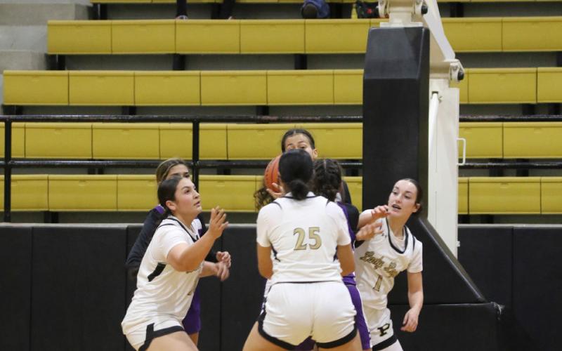 Bold Gold and Lady Lopes Basketball to compete at Wellman Tournament
