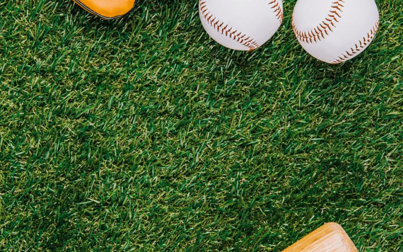 Bold Gold begins 2026 baseball season