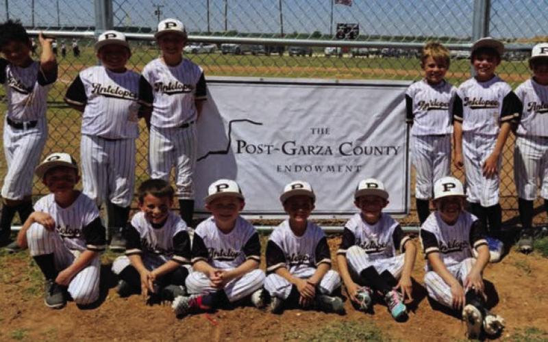 Post-Garza County Endowment opens grant application process