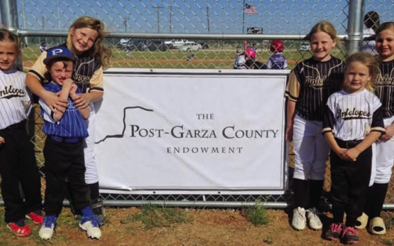 Post-Garza County Endowment opens grant application process