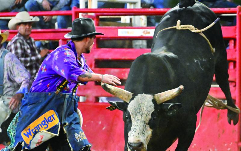 Photographer Ron Francis captured some incredible photos of the Boom or Bust Bull Riding event. Ron has posted over 250 photos on his Facebook page, Ron Francis Photography.