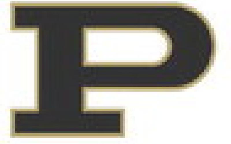 Lady Lopes begin district