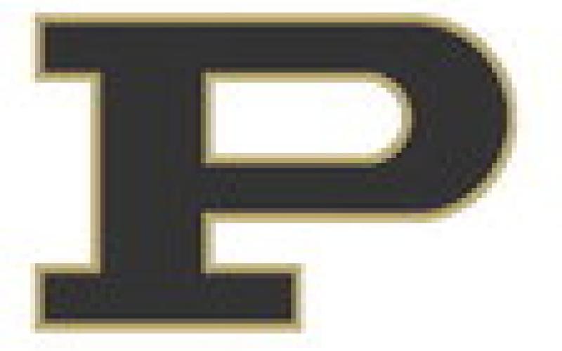 Bold Gold and Lady Lopes impress at Double Mountain Classic