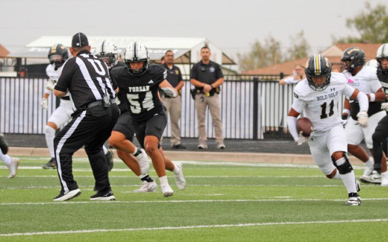 Antelopes dominate Buffaloes 64-6