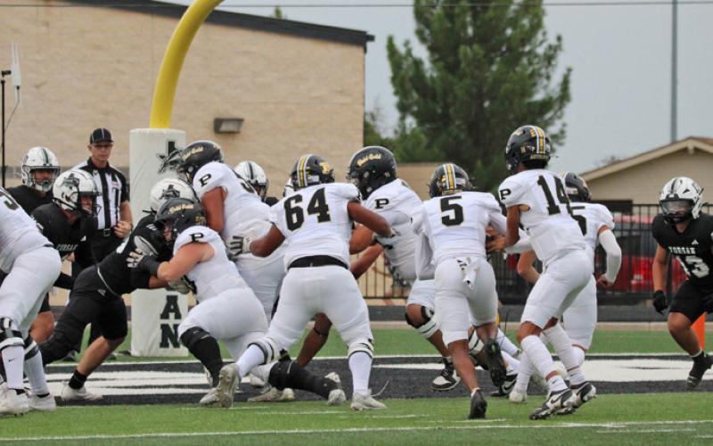 Antelopes dominate Buffaloes 64-6