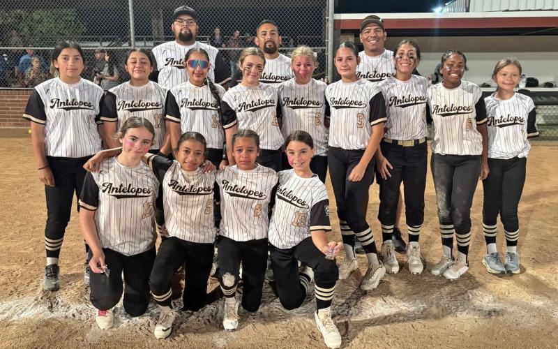 Post 11/12 Little Leage Softball All-Stars fall short in Sectionals Championship