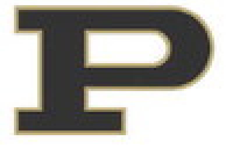 Board approves CMC contract for athletic trainer