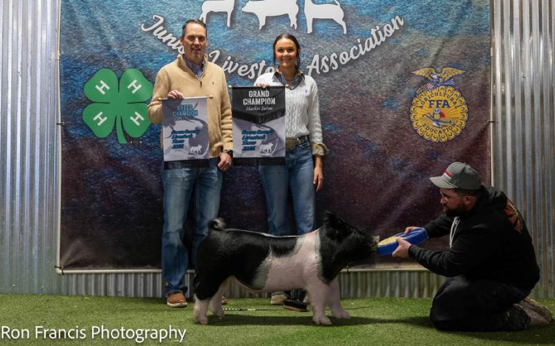 BREED CHAMPION CROSS SWINE REESE HUFFAKER