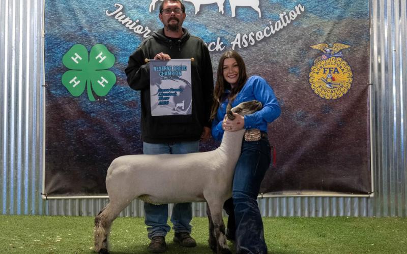 RESERVE BREED CHAMPION CHESTER SWINE AUDREY LEE
