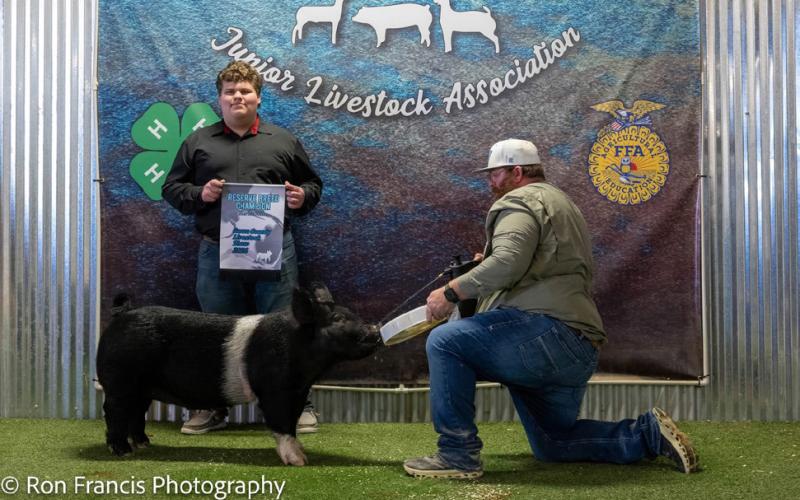 RESERVE BREED HAMP SWINE ZACHARY GAYDOS