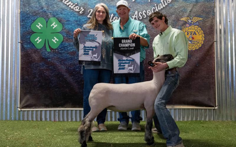 BREED CHAMPION MEDIUM WOOL LAMB RYLAN MORRIS