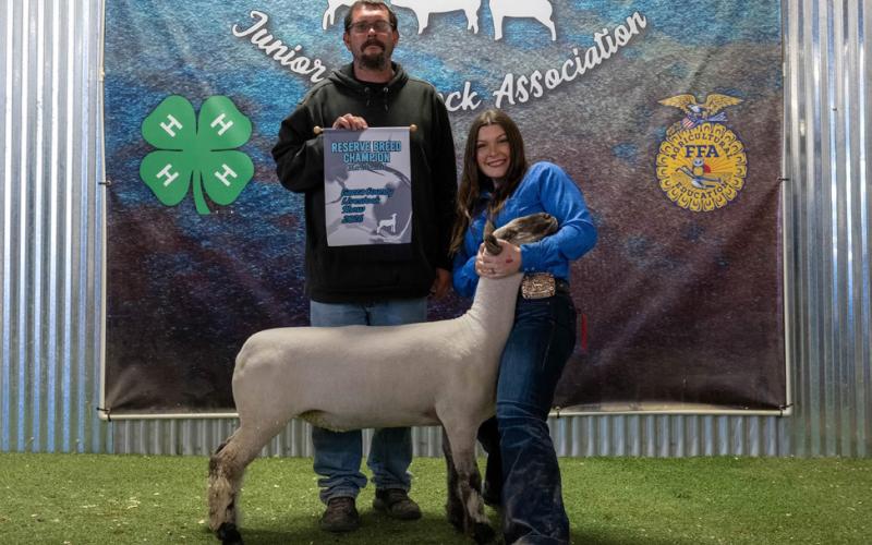 RESERVE BREED FWX LAMB AUDREY LEE