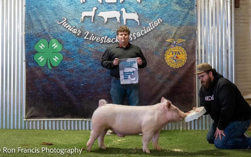 RESERVE BREED CHAMPION YORK SWINE ZACHARY GAYDOS