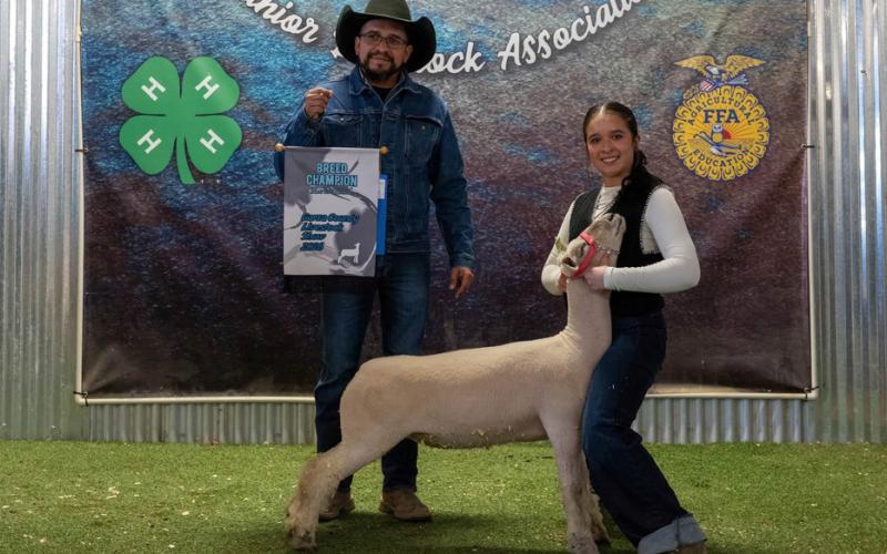 BREED CHAMPION SOUTHDOWN LAMB ADDYSON VALDEZ