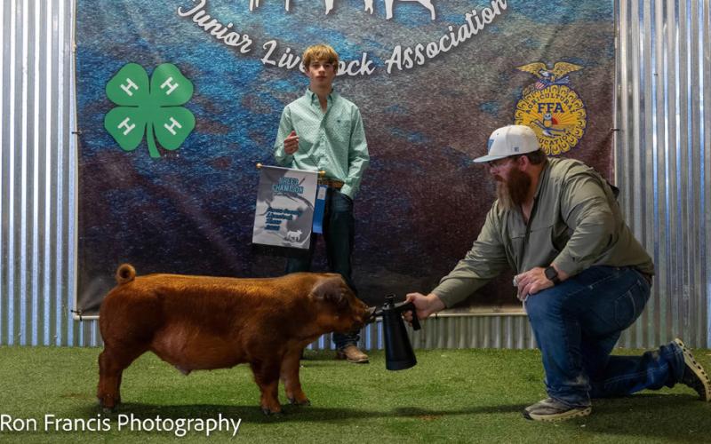 BREED CHAMPION DUROC SWINE OAKLEY CASH-STRAWM