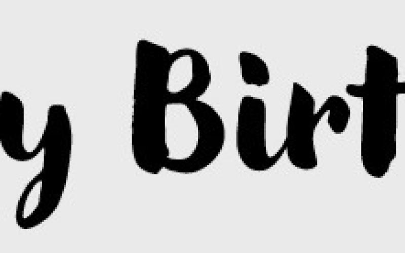 Alt Text for Image