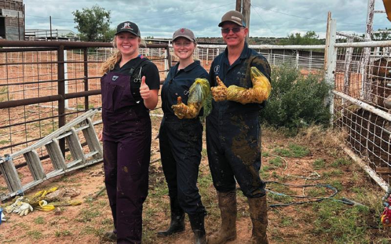 ANIMAL NATUREA&amp;M interns get onthe-job training at Garza Vet Clinic