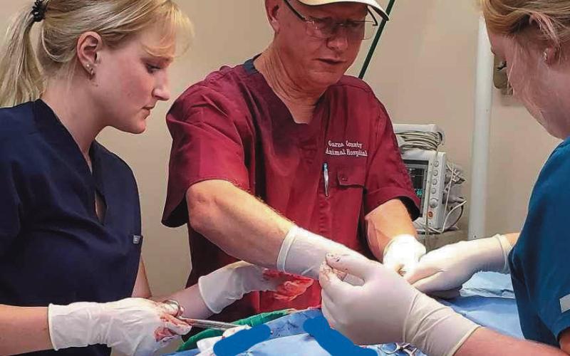 SHOP TALK Vet students Alyssa Otto and Laural Bailey learned from Dr. Kerry Wink in the operating theater and in the eld. | COURTESY PHOTOS