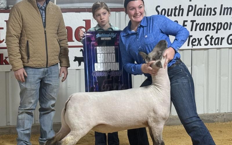 GRAND RESERVE CHAMPION SHEEP AUDREY LEE