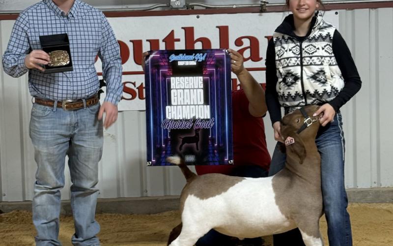 RESERVE CHAMPION GOAT OWYN COLE