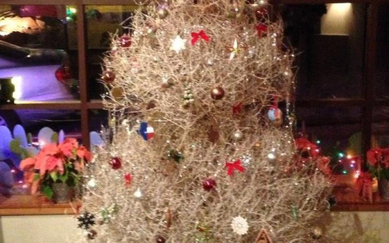 Just Google tumbleweed tree, and you will find several images and ideas to get you started on your tumbleweed tree. What did we ever do without Google or Pinterest?