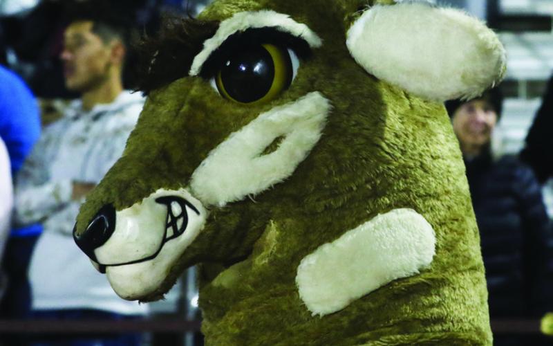 Antelopes Outrun Lynx to a 42-33 Victory