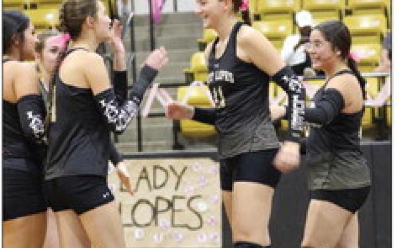Lady Lopes clinch playoff spot during final week of play