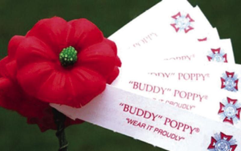 Poppys and Veteran’s Day