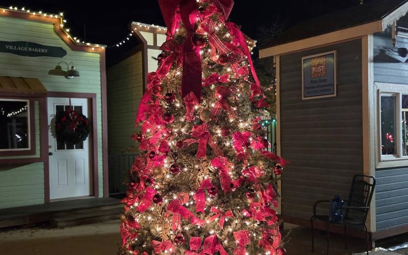 SPOTLIGHT ON LIGHT UP POST 2025