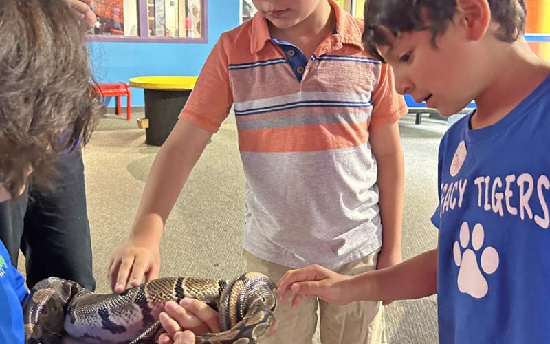 SPOTLIGHT ON SUMMER FUN