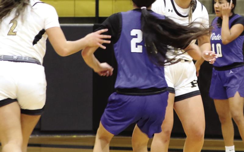 Lady Lopes fall to Winters 52-45