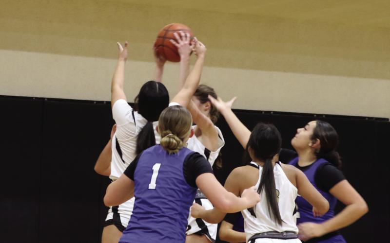Lady Lopes fall to Winters 52-45