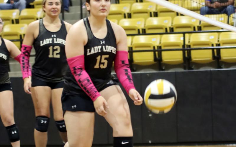 Five Lady Lopes earn All-District volleyball honors