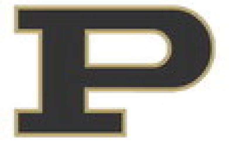 Five Lady Lopes earn All-District volleyball honors