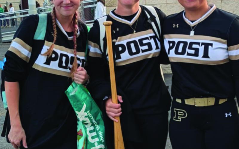 Post softball season comes to a close  with Area playoff loss to Floydada