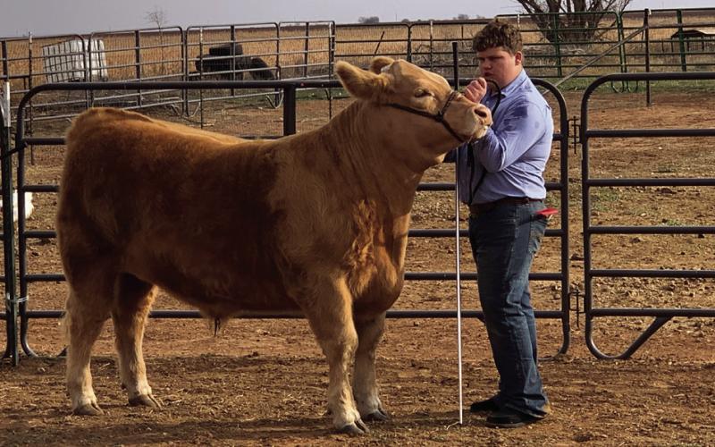 2025 SOUTHLAND JUNIOR LIVESTOCK SHOW RESULTS