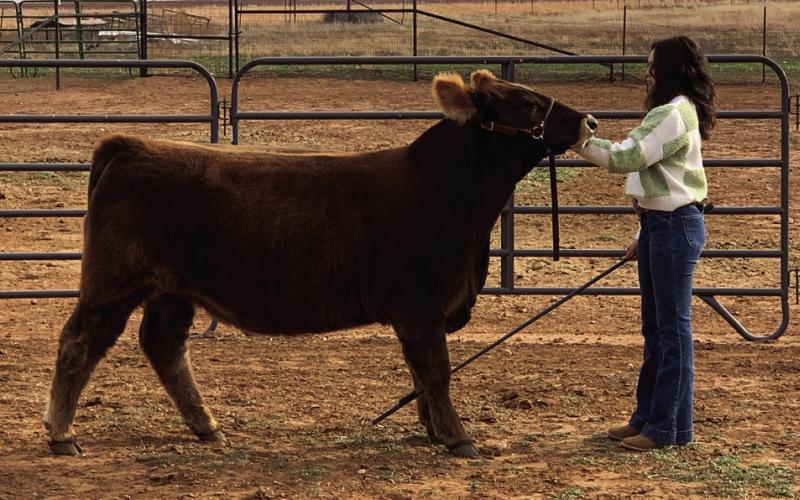 2025 SOUTHLAND JUNIOR LIVESTOCK SHOW RESULTS