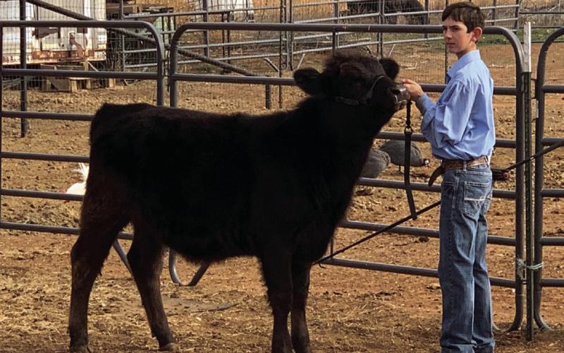 2025 SOUTHLAND JUNIOR LIVESTOCK SHOW RESULTS