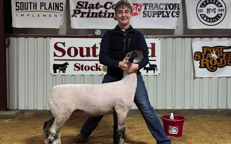 2025 SOUTHLAND JUNIOR LIVESTOCK SHOW RESULTS