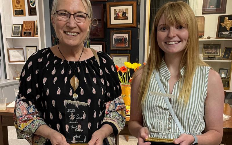 Winners of local art show announced