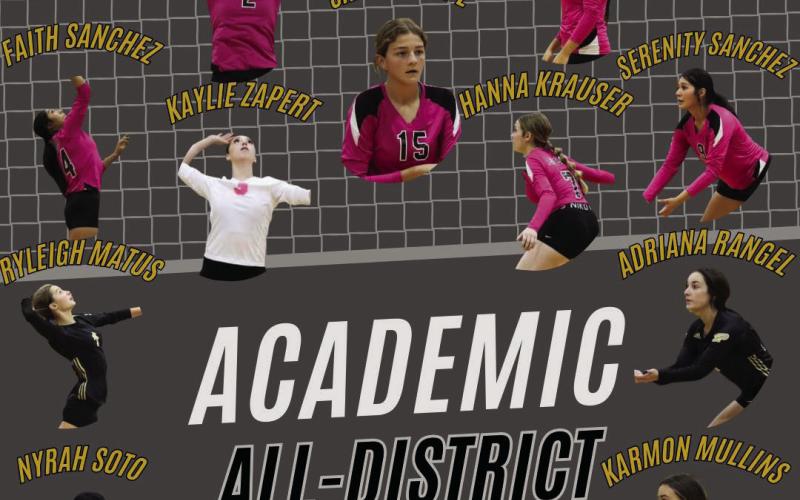 Volleyball honors