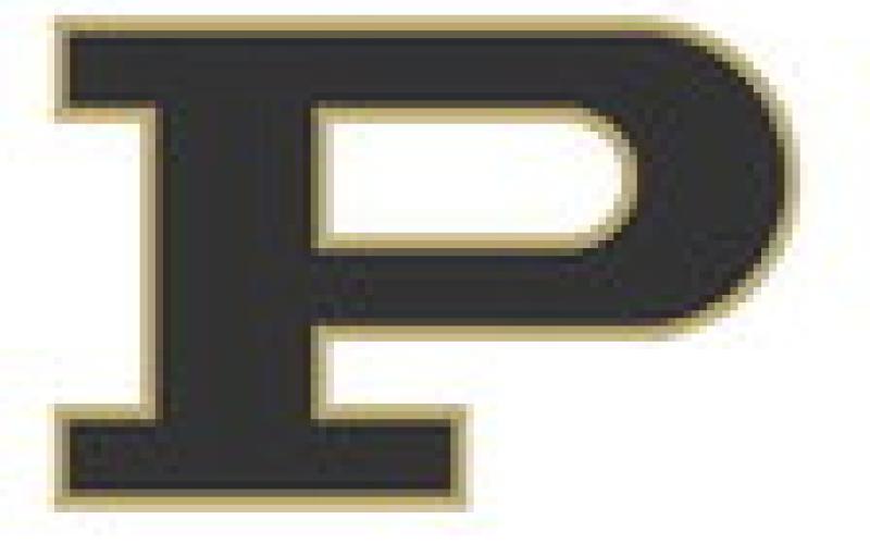 Bold Gold fall to #16 New Home Leopards, travel to Ropes for a doubleheader