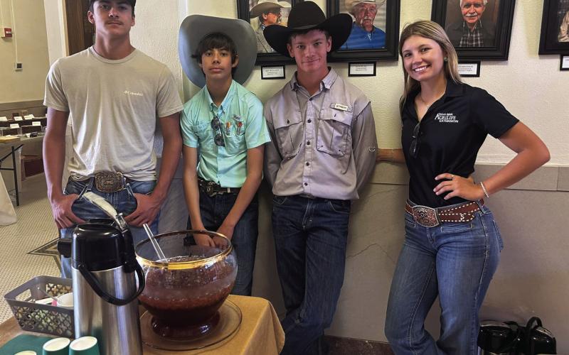 4-H celebrates courthouse centennial