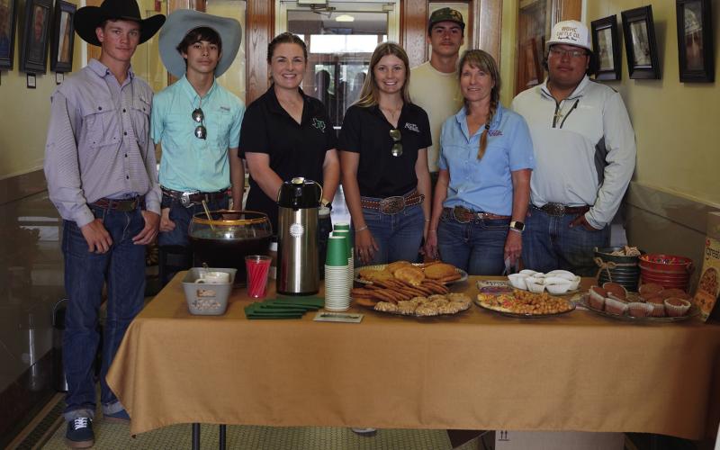 4-H celebrates courthouse centennial