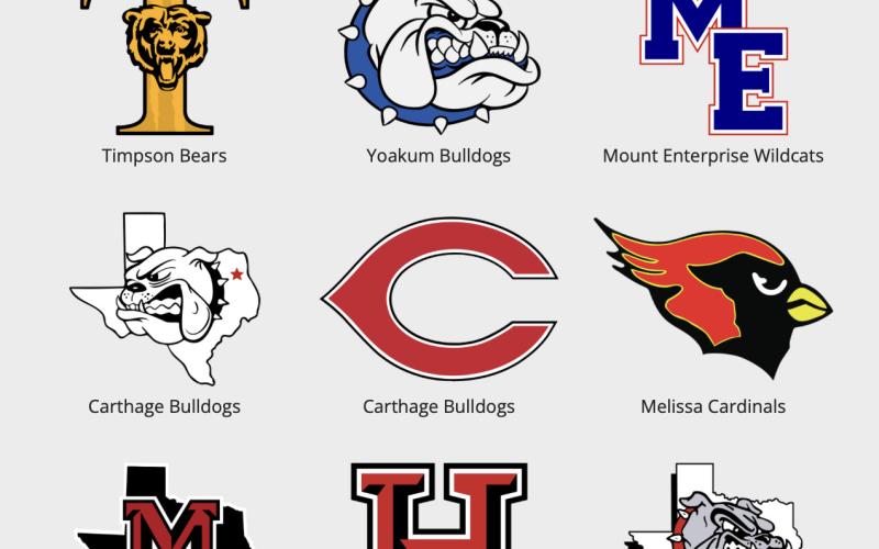 LOOKING FOR LOGOS The Texas High School Logo Project in 2018 launched an online database of high-quality files for Texas high school sports logos. | COURTESY PHOTO