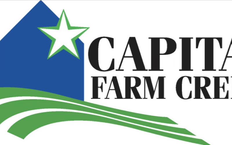 Garza 4-H among six you service projects statewide to benefit from Capital Farm Credit funding