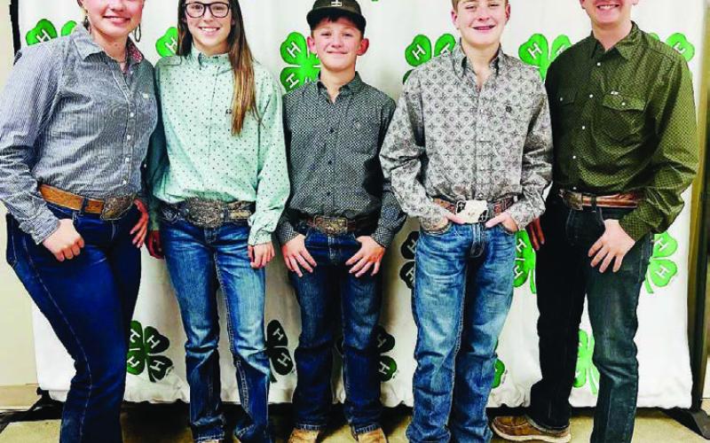 HORSE JUDGING 4-H